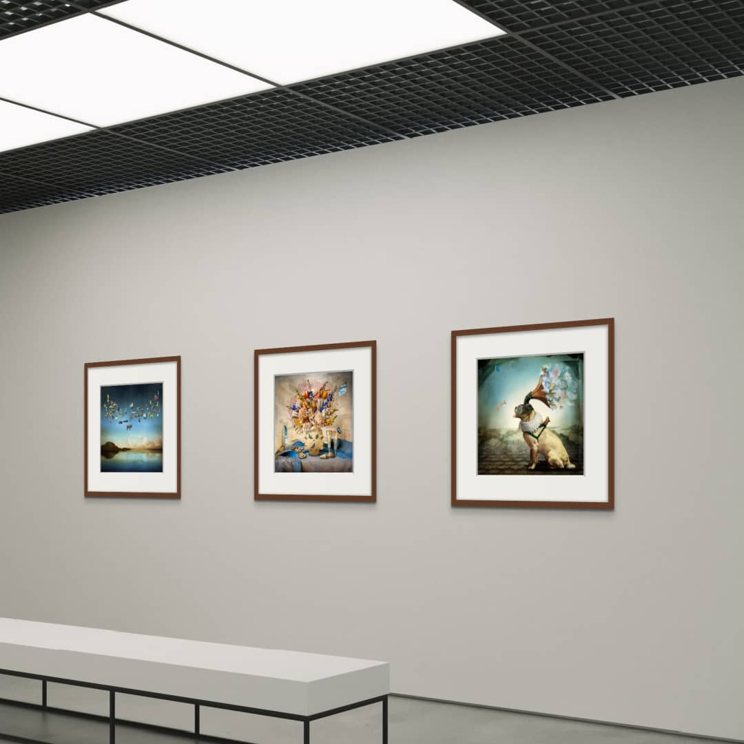 Maggie Taylor Art available in Australia @ Curate Art & Design Gallery in Sorrento Mornington Peninsula Melbourne