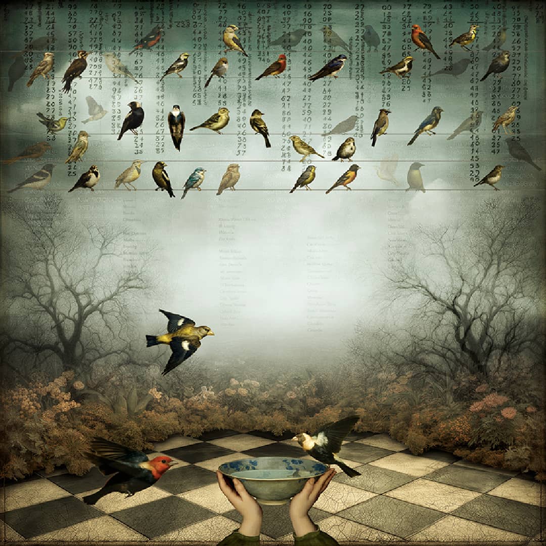 Maggie Taylor Art ~ 'Garden Party' - Available in Australia exclusively @ Curate Art & Design  in Daylesford. Free delivery Melbourne.