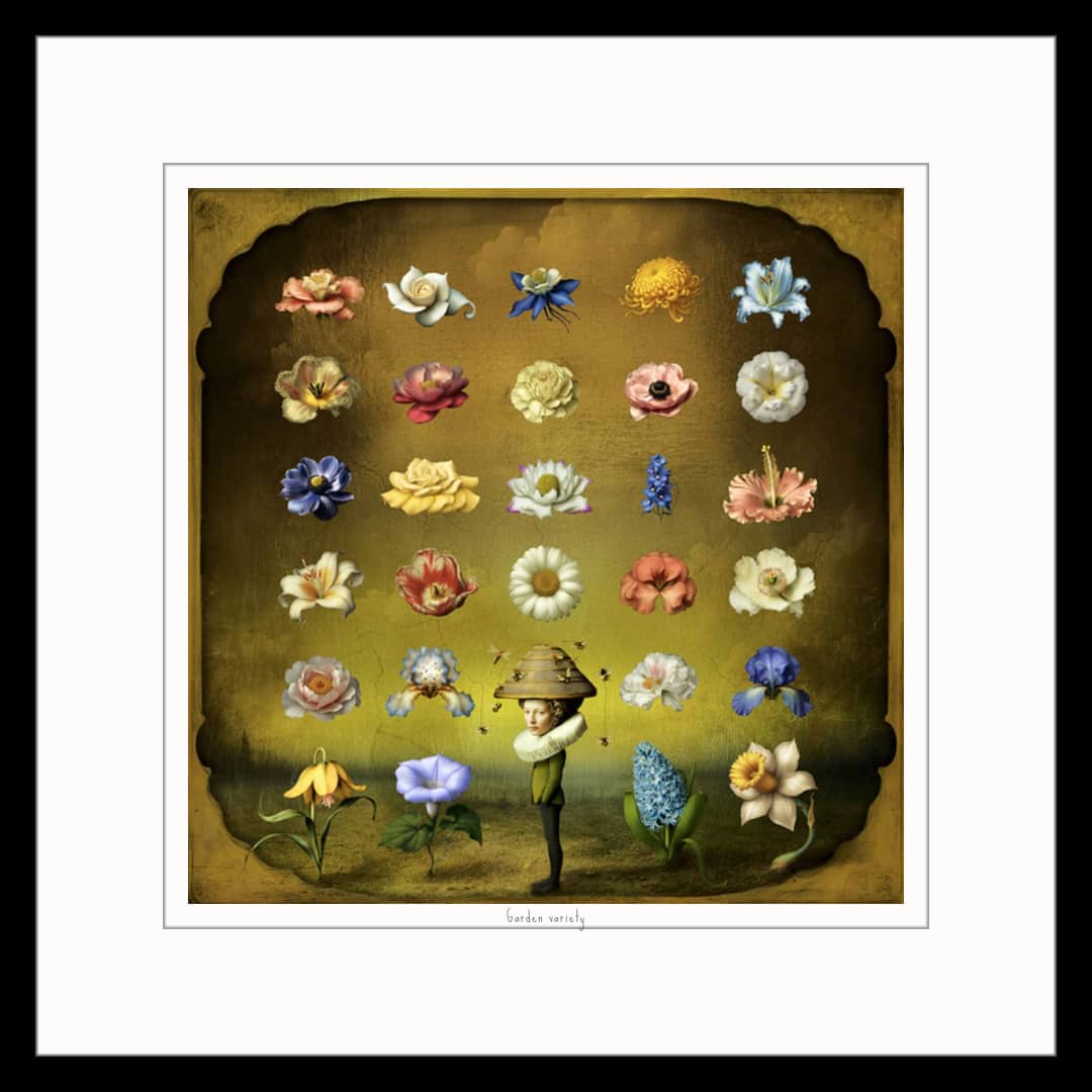 Maggie Taylor Art ~ 'Garden Variety' - Available in Australia exclusively @ Curate Art & Design in Daylesford. Free delivery Melbourne.