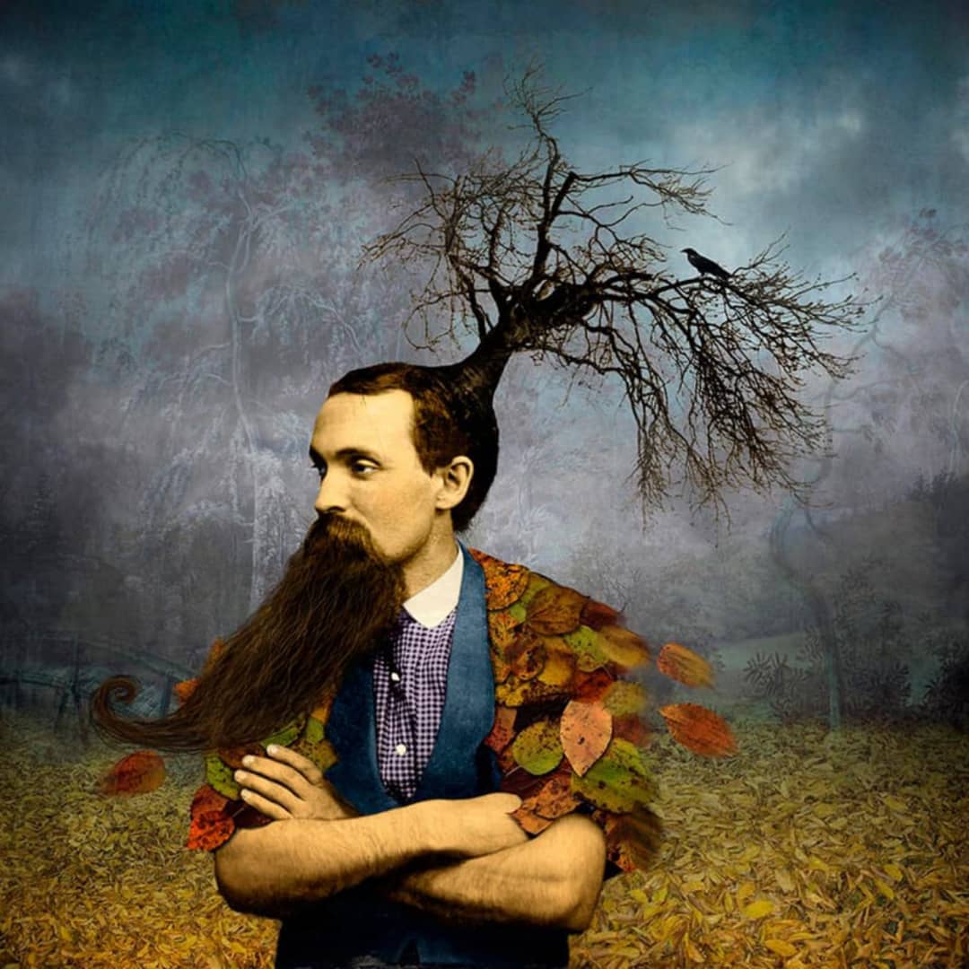 Maggie Taylor Art ~ 'Subject to Change' - Available in Australia exclusively at Curate Art & Design in Daylesford. Free delivery Melbourne.