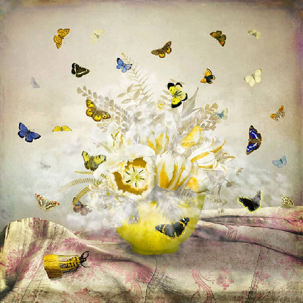 Maggie Taylor Art Photomontage ~ 'Oh My My' - Available at Curate Art & Design Gallery in Sorrento Mornington Peninsula Melbourne