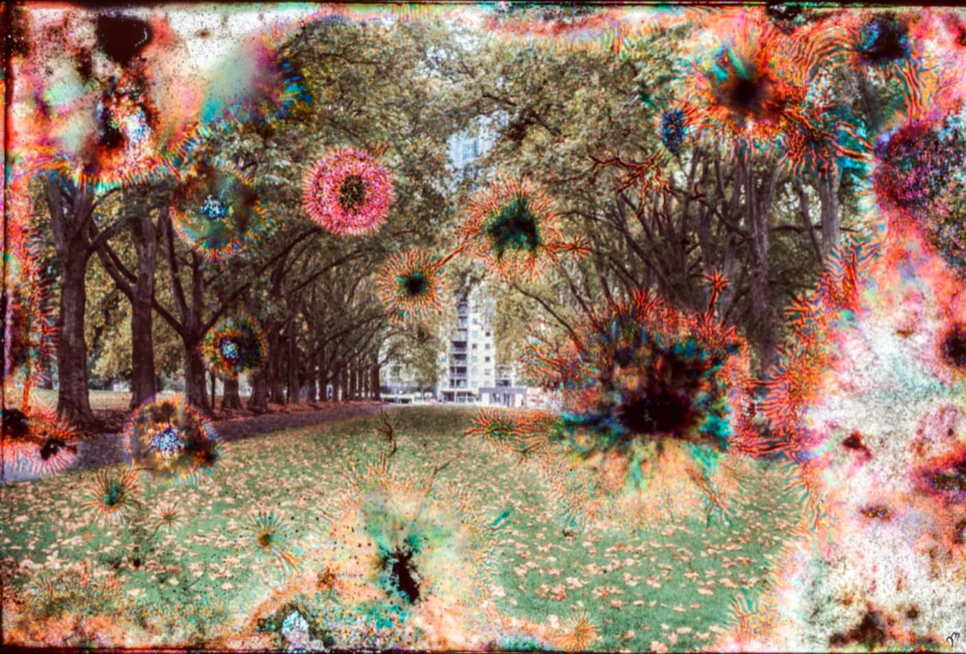 Matteo Volpi Photography Art ~ 'Carlton Garden Fireworks' - Available in Australia @ Curate Art & Design, a must-visit art gallery in Daylesford, Victoria.
Colorful abstract overlay on a park scene with trees and a building.