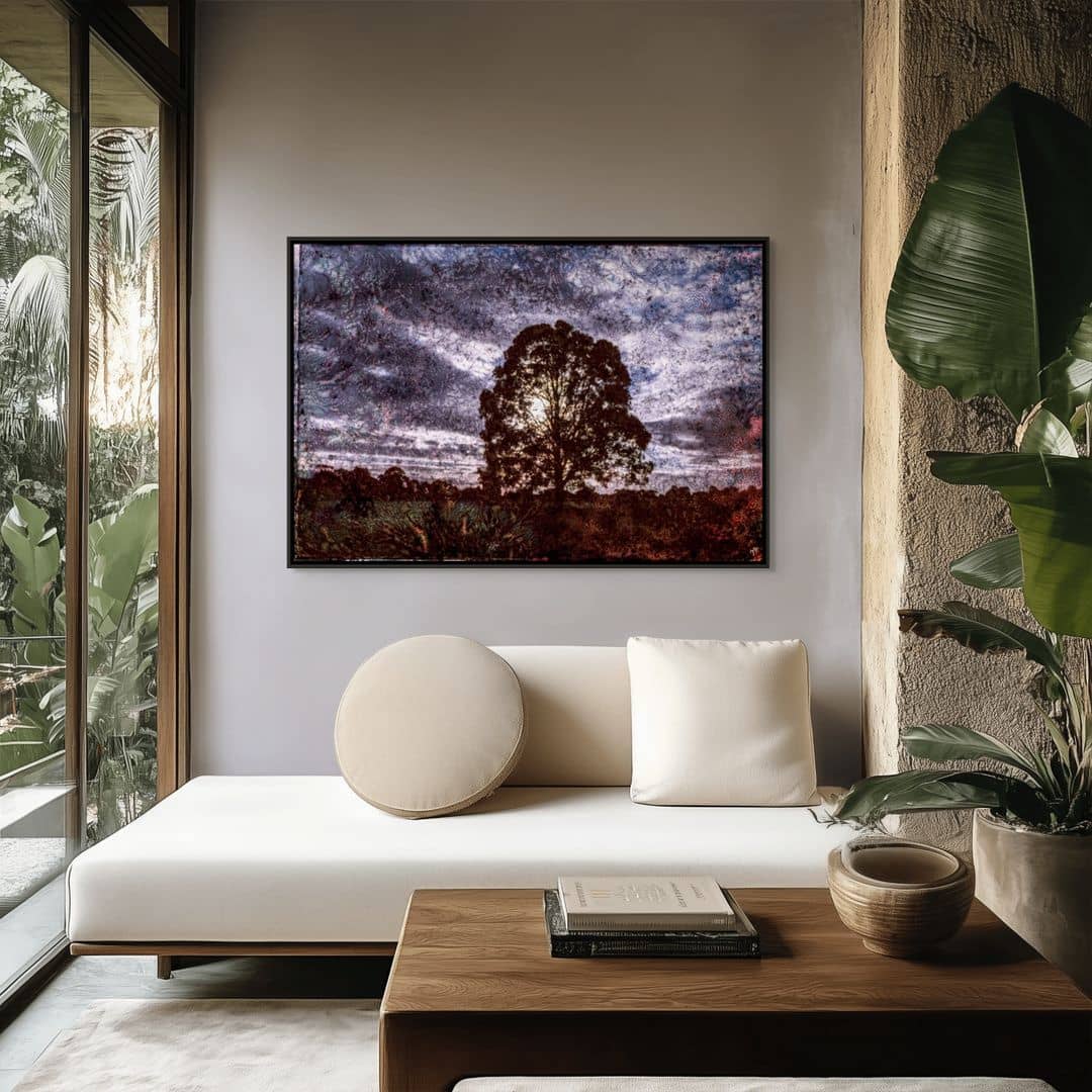Matteo Volpi Art ~ 'Royal Tree' - Available in Australia @ Curate Art & Design Gallery in Daylesford, Victoria.
Dark silhouette of a tree against a textured sky