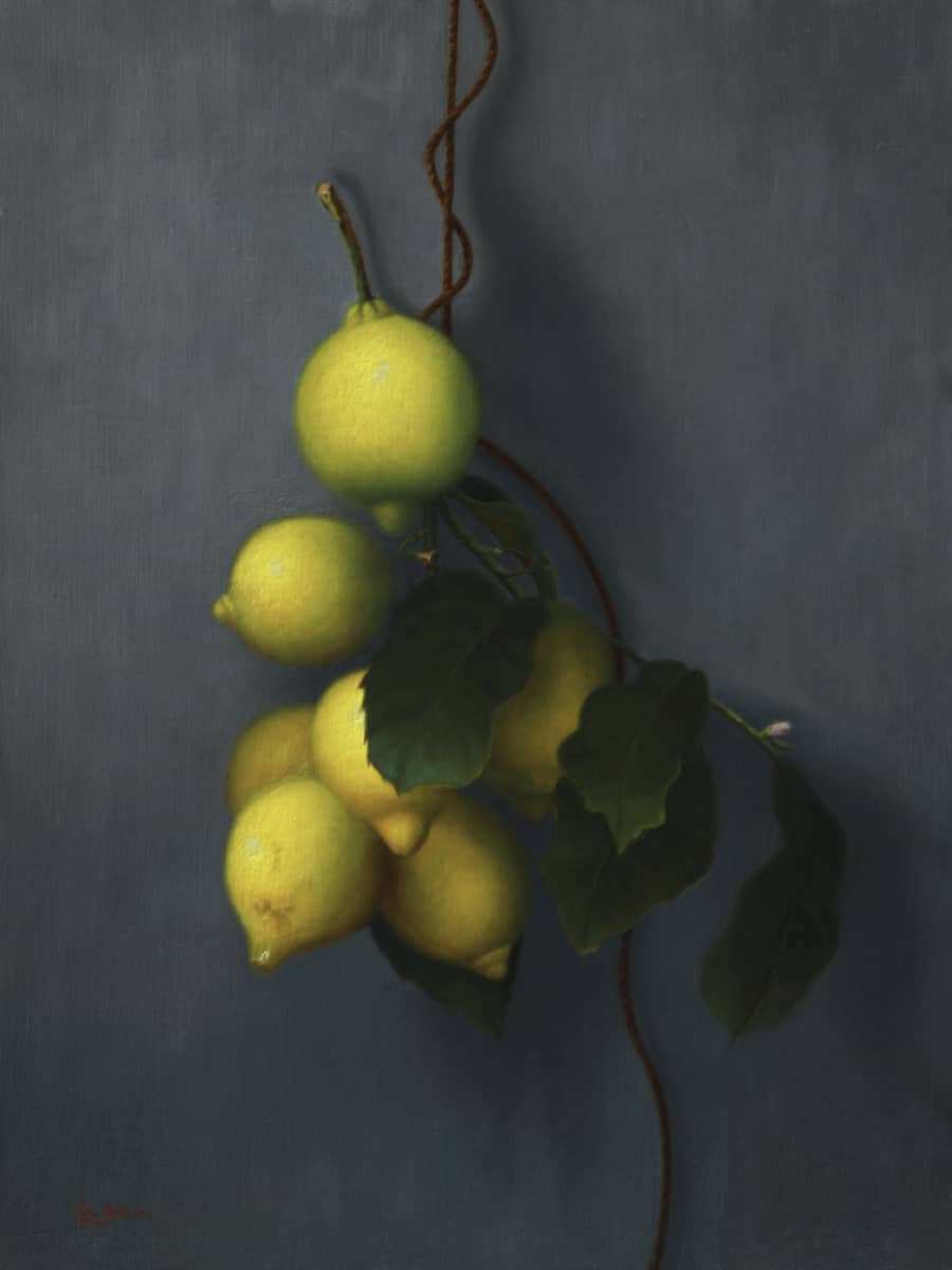 Vicki Sullivan Painting ~ 'The Weight of Summer' (ARC Living Master & Archibald Prize Finalist 2026) @ Curate Art & Design in Daylesford (formerly Sorrento).